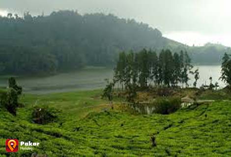 Wisata Situ Patenggang