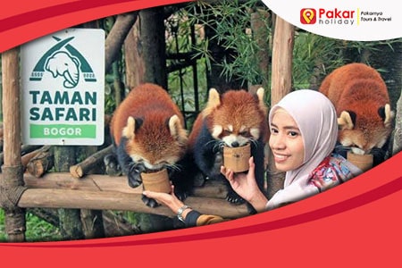Paket Wisata Taman Safari Murah Fasilitas Oke 2026
